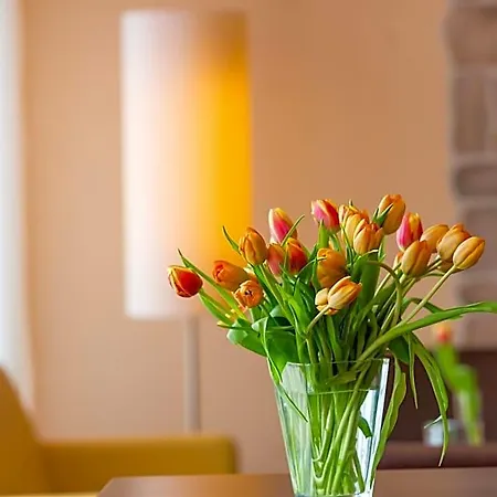 Montana-hotel Hotel Ellwangen